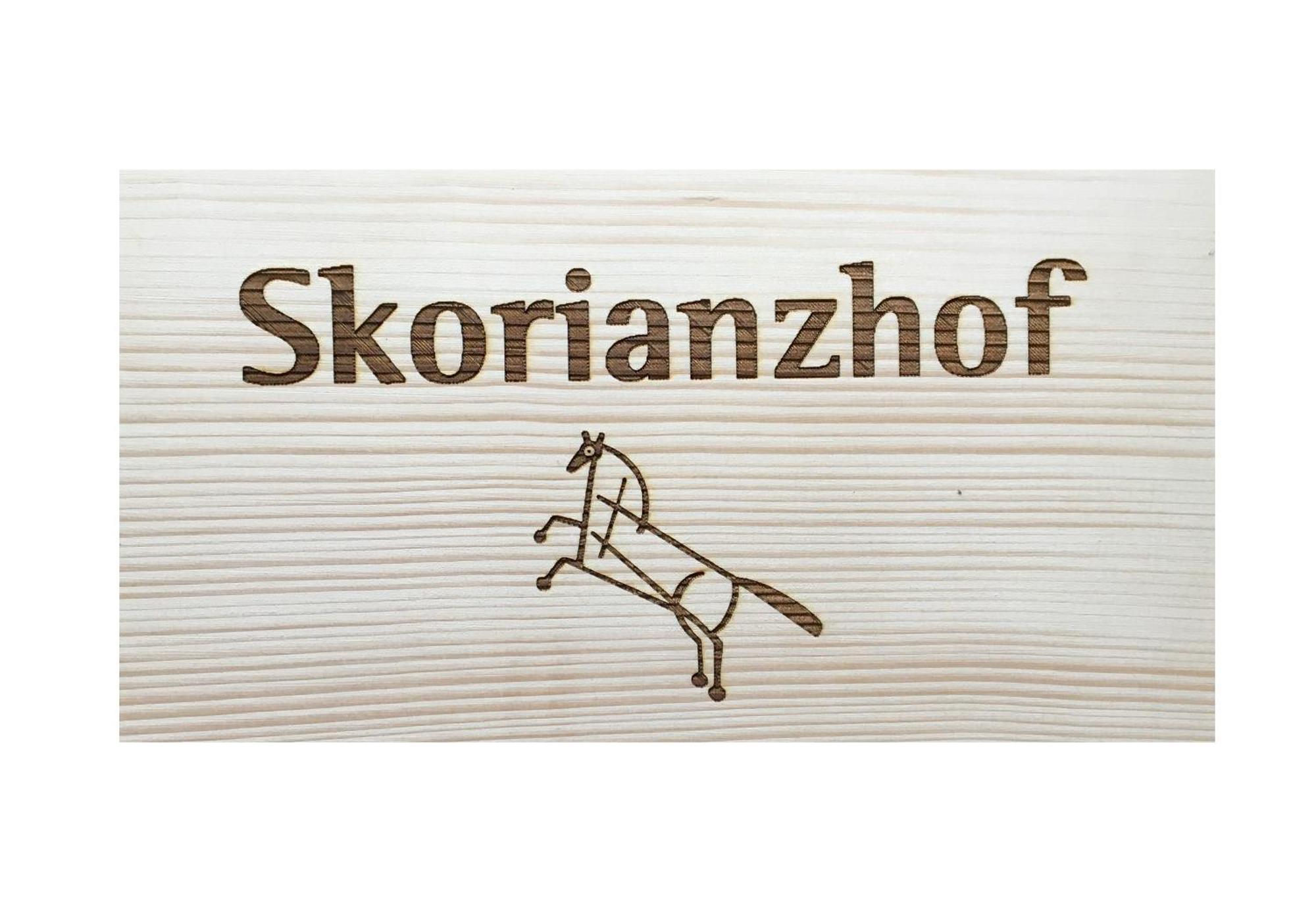 Hotel Skorianzhof à Eberndorf Extérieur photo
